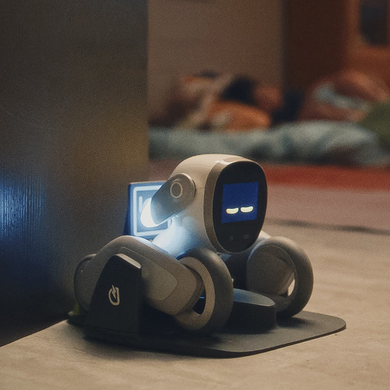 Loona – Your Adorable AI Companion Robot for Kids, Families & Pet Lovers