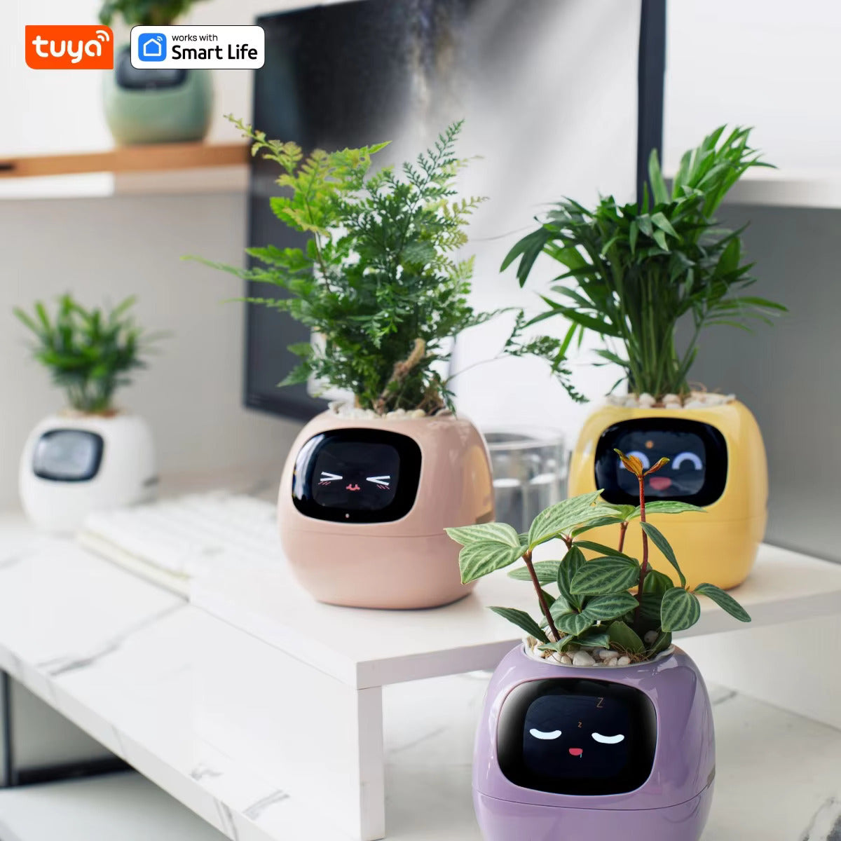 Tuya Ivy Smart Planter – 49+ Dynamic Expressions, 7 Smart Sensors, AI Chip for Fun & Easy Plant Care