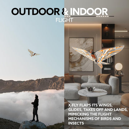X-FLY – The Smart Ornithopter Drone That Flies Like a Bird