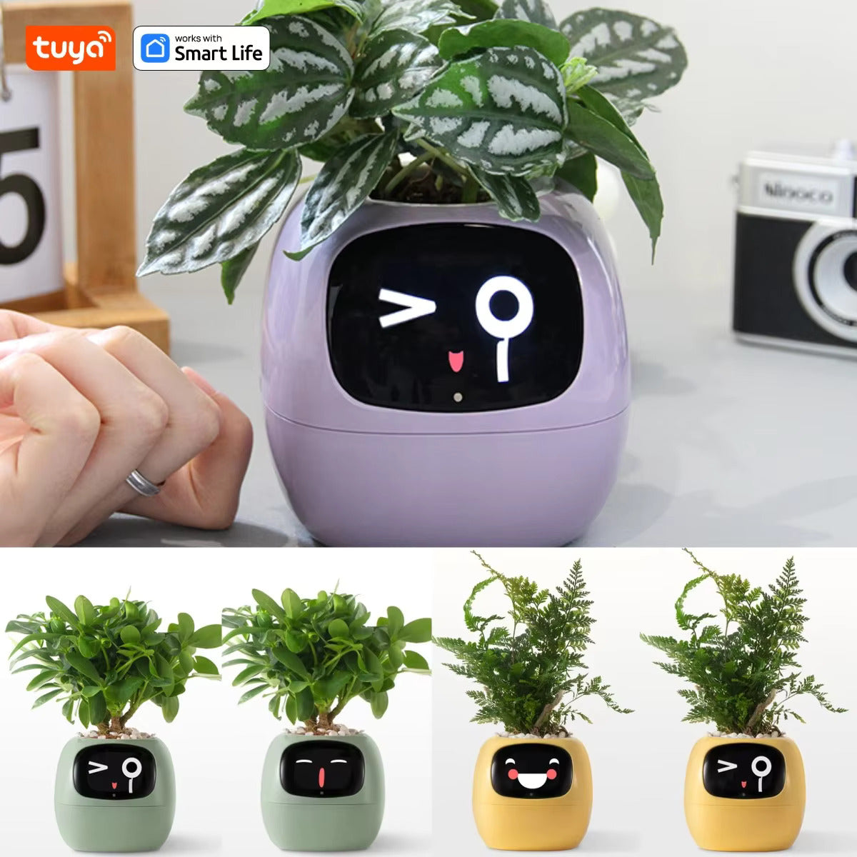 Tuya Ivy Smart Planter – 49+ Dynamic Expressions, 7 Smart Sensors, AI Chip for Fun & Easy Plant Care