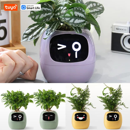 Tuya Ivy Smart Planter – 49+ Dynamic Expressions, 7 Smart Sensors, AI Chip for Fun & Easy Plant Care